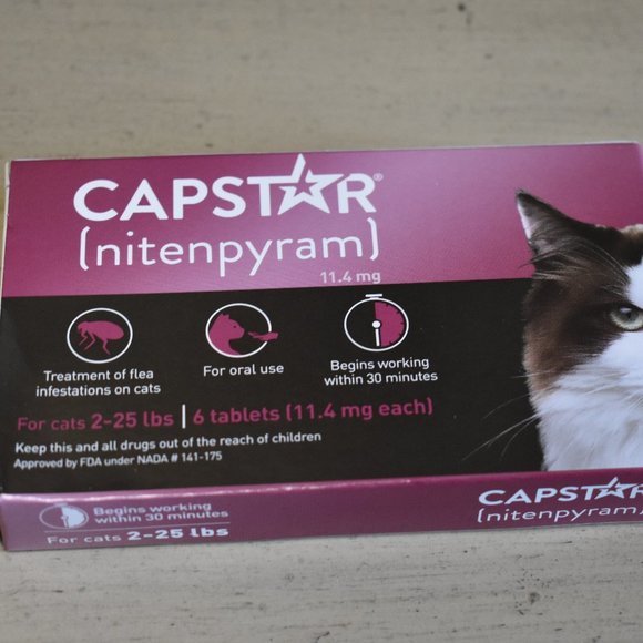 Capstar Cat Capstar Kitty Flea Poshmark